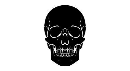 Obraz premium Black and white illustration of a human skull.