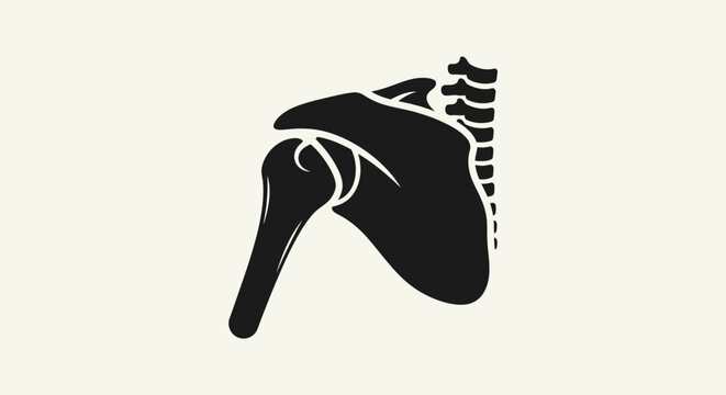 Black silhouette of a human shoulder and scapula bone anatomy illustration.