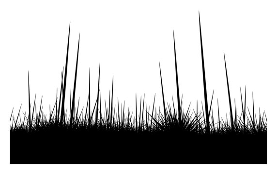 Penitentes Snow Spikes - Minimalist Vector Illustration
