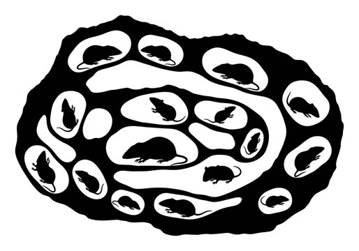 Naked Mole Rat Colony - Vector Silhouette