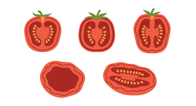 Sun dried Tomato color line art flat design
