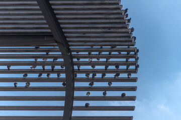 V&ouml;gel auf einem Hausdach