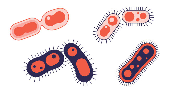 Bacteria Line art color simple design
