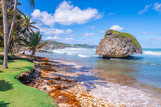 Eroded rock formations define the Barbados coast