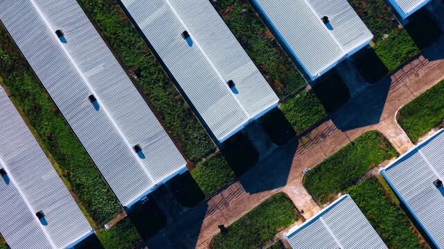 Long premises at the modern agricultural farm complex. Flight over the large multiple buildings in the fields.