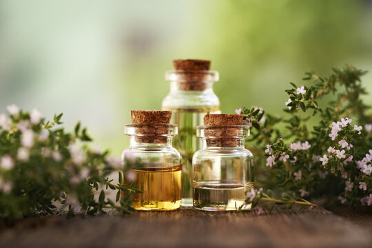 Bottles of aromatherapy essential oil with blooming thyme outdoors