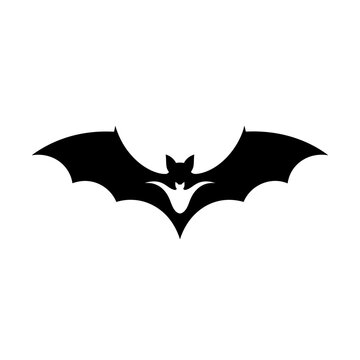 Stunning black bat silhouette in mid flight against white background
