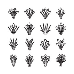 Fototapeta premium Collection of Budding Tulip Icons on White Background, Minimalist Line Art