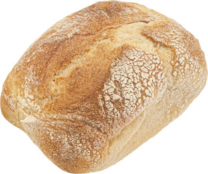 Ciabatta bread isolated