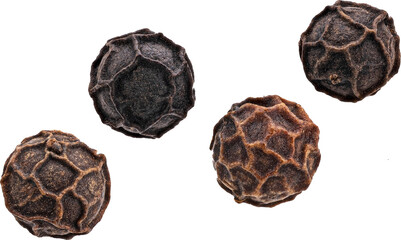 Black pepper isolated 