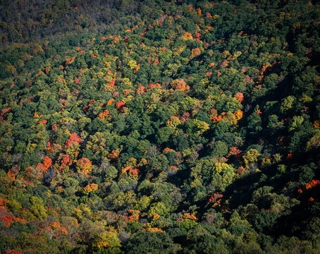 Start of Fall Orange Leaves Looking Down from McAfee Knob in Roanoke County, Virginia