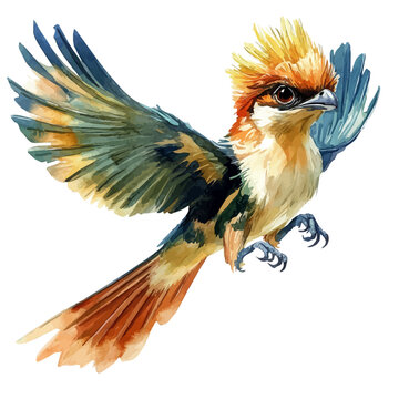 Microraptor, clipart watercolor vector, isolated on a white background.
