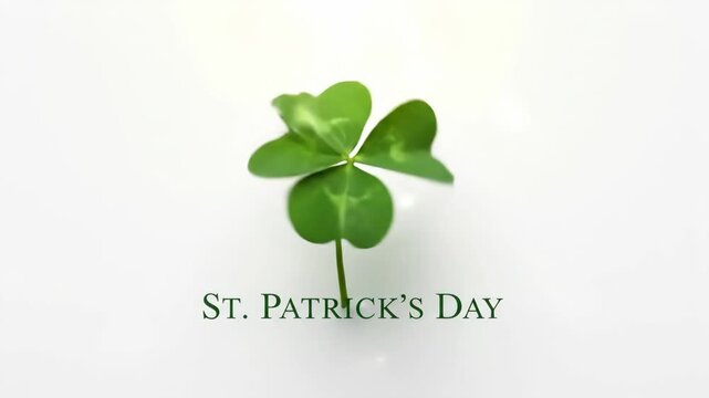 Rotating green clover shamrock with St. Patrick&rsquo;s day text, a traditional symbol for good luck and Irish celebration