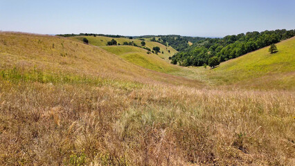 Obraz premium Tranquil sunny summer landscape with green fields and hills in south-eastern Europe, Serbia.