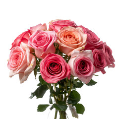 Fototapeta premium Roses in Shades of Pink and Peach on a White Background for a Floral Arrangement