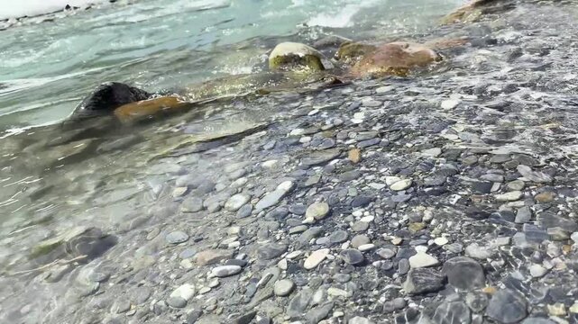 Breathtaking video footage of Sonmarg showcasing snow-capped Himalayan peaks, lush green valleys, flowing rivers, and pristine natural landscapes in Jammu and Kashmir.
