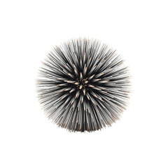 Obraz premium Metal Object With Spikes Placed on White Background in Studio Setting