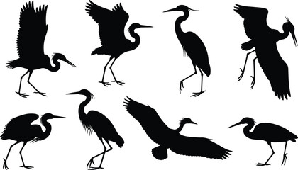 Fototapeta premium Heron and crane bird silhouettes collection, flying and standing water birds, black wildlife vector illustration set isolated on white background
