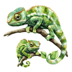 A Mother Chameleon With Her Kid, high quality watercolor illustration with transparent textures, isolated on a white background. © soltrex