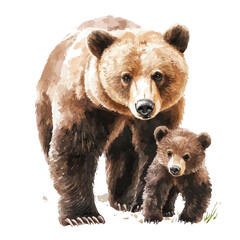 Fototapeta premium watercolor graphic of A Mother Bear With Her Kid, isolated on a white background.