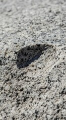 Close-up of a textured surface with a dark spot.
