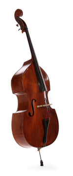 One double bass isolated on white. Musical instrument