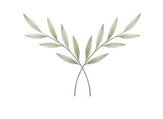 Fototapeta premium Two simple hand drawn green olive branches crossed in symmetrical design. Botanical illustration border for wedding invitation or greeting card.