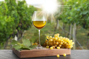 Naklejka premium Wine in glass and fresh grapes on table in vineyard