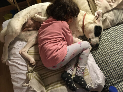 Kid lying bonding with dog. UGC