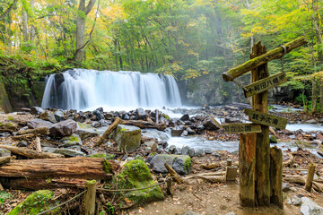 秋の奥入瀬渓流　銚子大滝　青森県十和田市　Oirase Gorge in Autumn. Choshi Otaki Falls. Aomori Pref, Towada City.