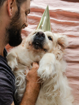 Golden retriever 10th birthday