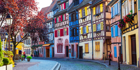 Naklejka premium Scenic Street View of Colorful Half Timbered Houses with Traditional Pavement in Colmar Old Town Authentic Old World Aesthetic Alsace France Travel