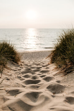 sand dune trail