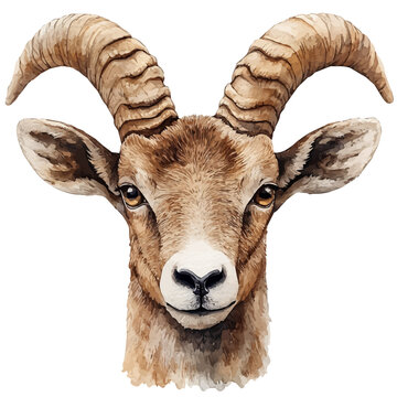 Anoa, watercolor clipart showcasing whimsical details and harmonious color flow, isolated on a white background.