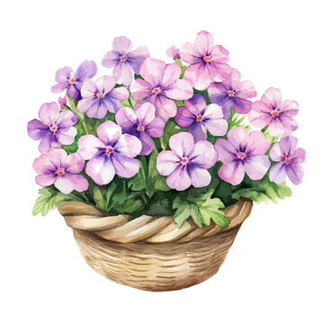 Verbena Bouquet In A Basket A, watercolor painting with colorful accents, isolated on a white background.