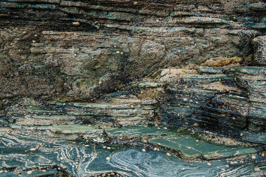 Rocky Shore Details