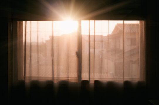 Window Views