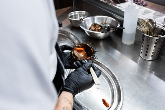 Chef Prepares Urchin Delicacy in a Modern Kitchen Setting