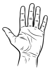 Obraz premium Hand drawn line art illustration of a human hand depicting an open palm for communication and expression