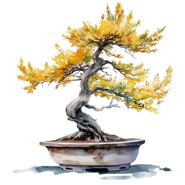 Tamarack Bonsai, watercolor vector depicting playful antics, isolated on a white background.