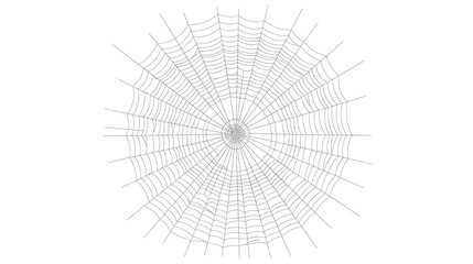 Obraz premium Intricate spider web with delicate threads and radial symmetry isolated cutout PNG with transparent transparent background