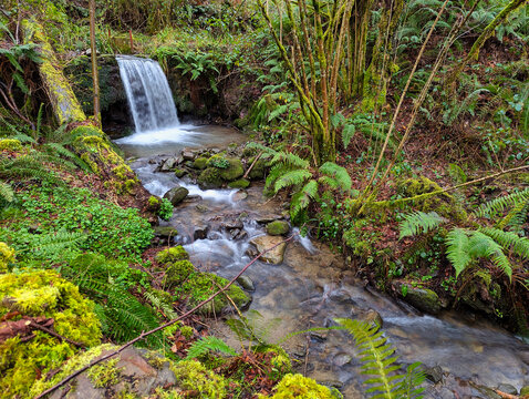 Cascades in the Pra River, Bimenes Mills Route, PR-AS 141, the municipality of Bimenes, Asturias, Spain