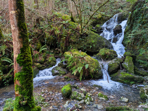Cascades in the Pra River, Bimenes Mills Route, PR-AS 141, the municipality of Bimenes, Asturias, Spain
