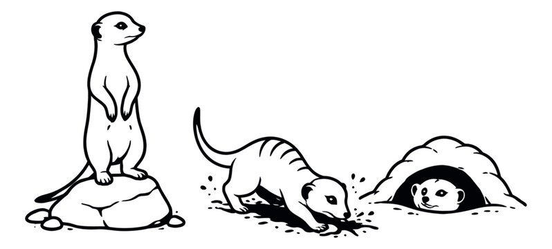 Hand drawn line art meerkat set featuring meerkats standing, digging, and in a burrow for wildlife and animal themes