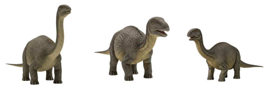 Corythosaurus casuarius dinosaur isolated on white background, crested hadrosaur herbivore fossil reptile cutout PNG, Cretaceous duck-billed dinosaur 3D render model, prehistoric dinosaur figure