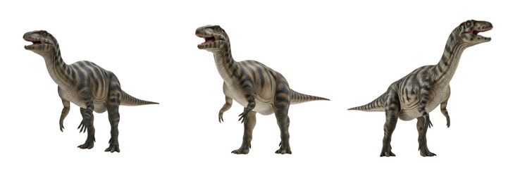 Mamenchisaurus hochuanensis dinosaur isolated on white background, giant Chinese sauropod herbivore fossil reptile cutout PNG, Jurassic long neck dinosaur 3D render model, prehistoric mega dinosaur fi © Bagwan