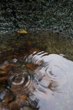 raindrops