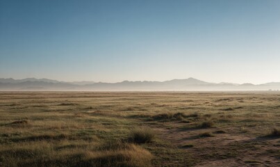 Fototapeta premium A large, empty field with a few trees in the background