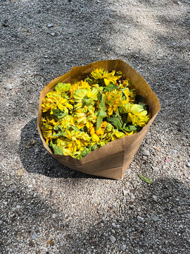 Bag of Flowers in the Sun