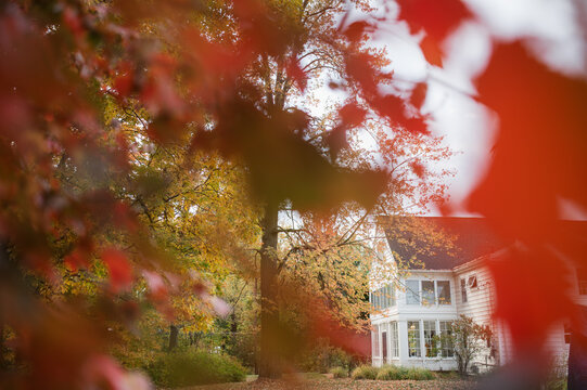 Fall House